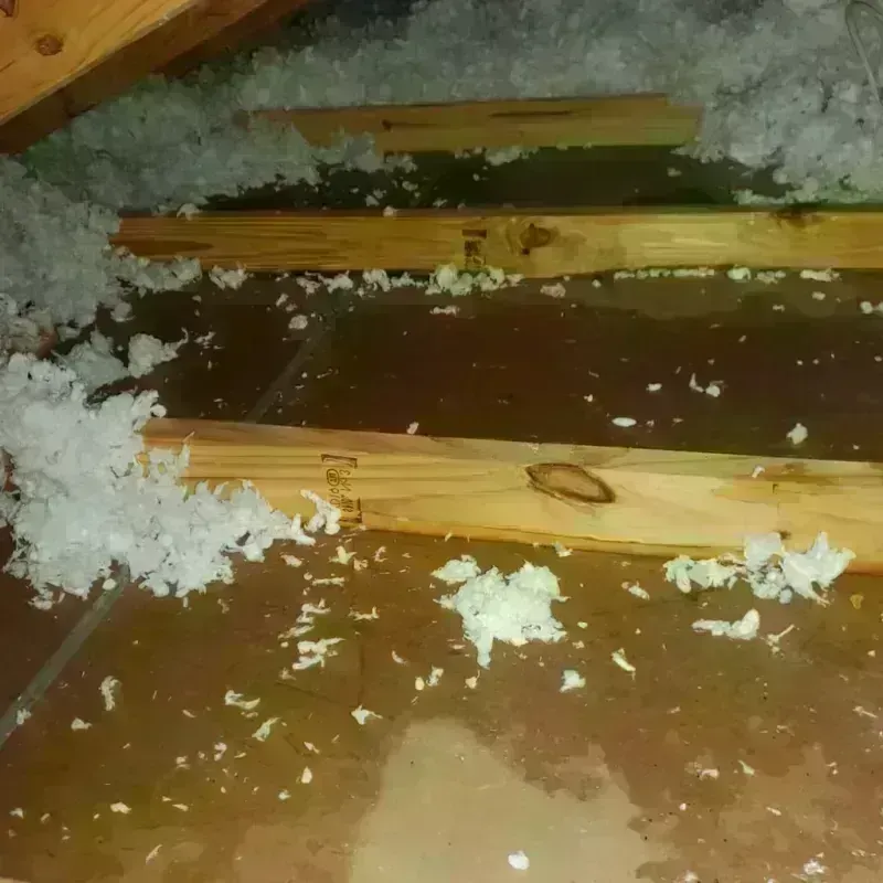 Attic Water Damage in Wrentham, MA